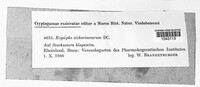 Image Associated With the Occurence